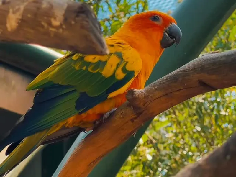 Jardin Zoologique de Rabat, loisirs à Rabat, photo 5