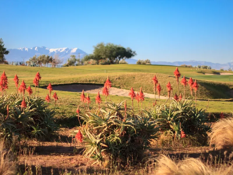 Samanah Golf Club by Nicklaus — photo 3