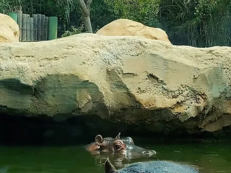 Jardin Zoologique de Rabat