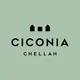 Ciconia by Chellah