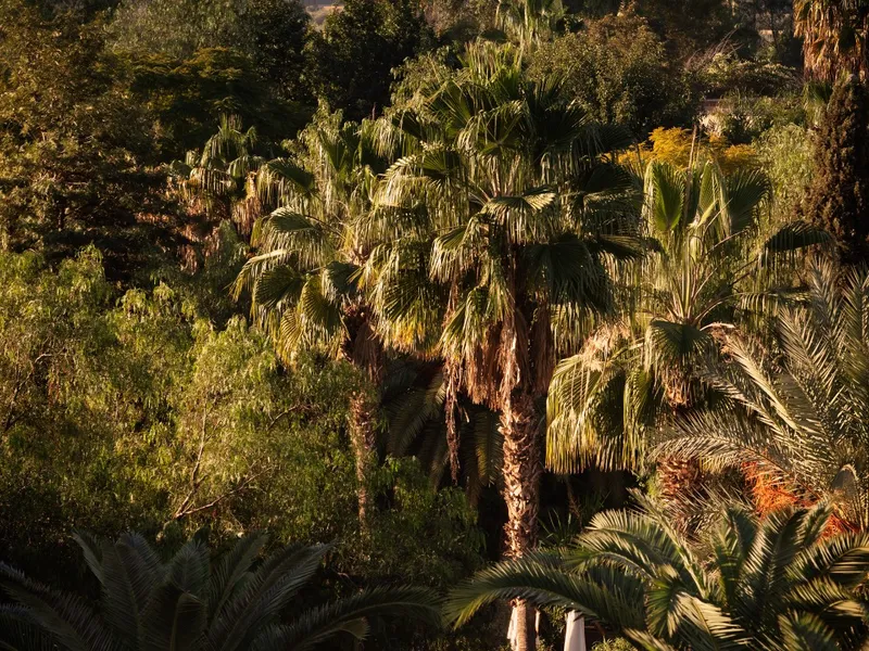 Four Seasons Resort Marrakech — photo 2