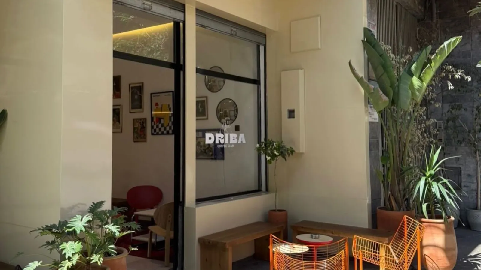 Driba Coffee Club