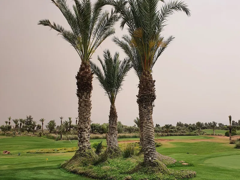 Fairmont Royal Palm Golf & Country Club — photo 6