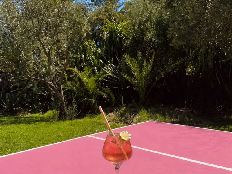 Pink Cactus — photo 5