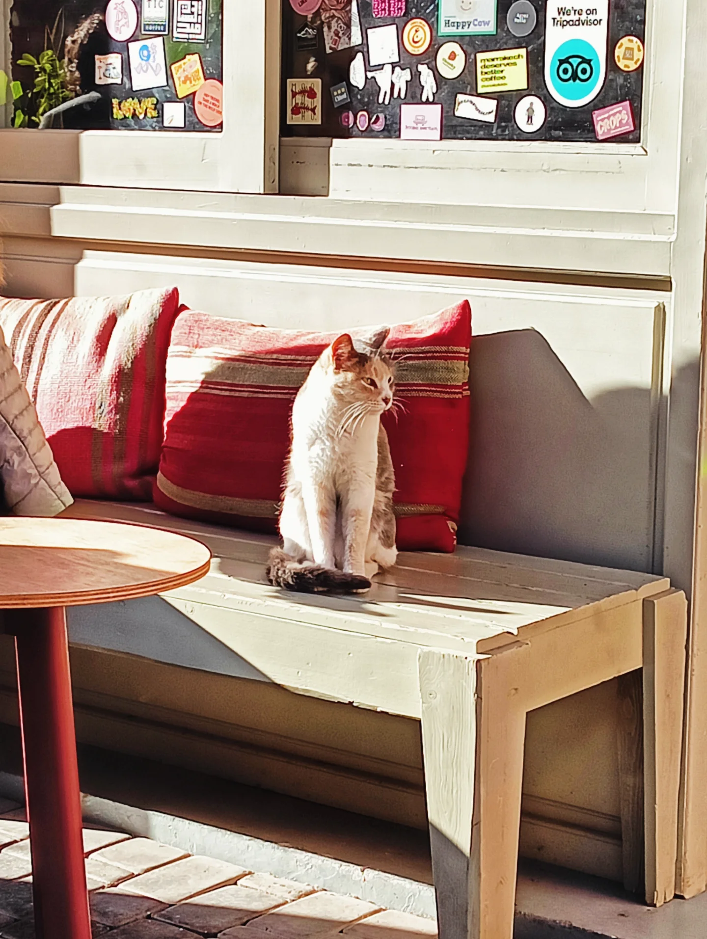 Kartell Kollektiv — Photo 3
