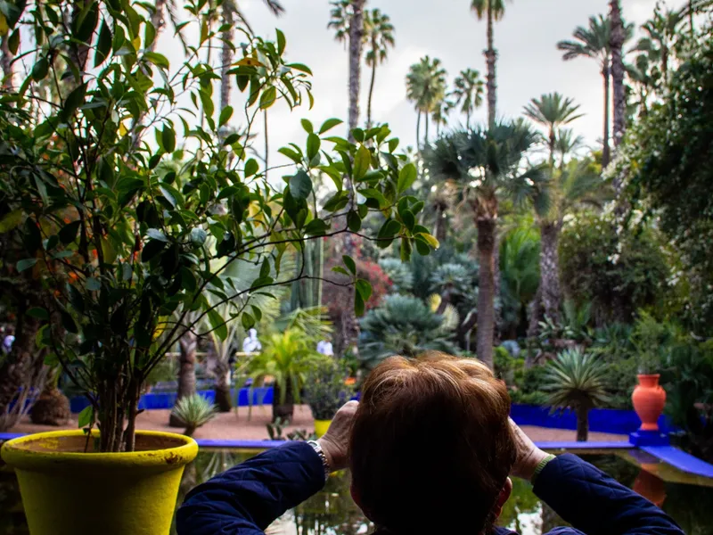 Jardin Majorelle — photo 7