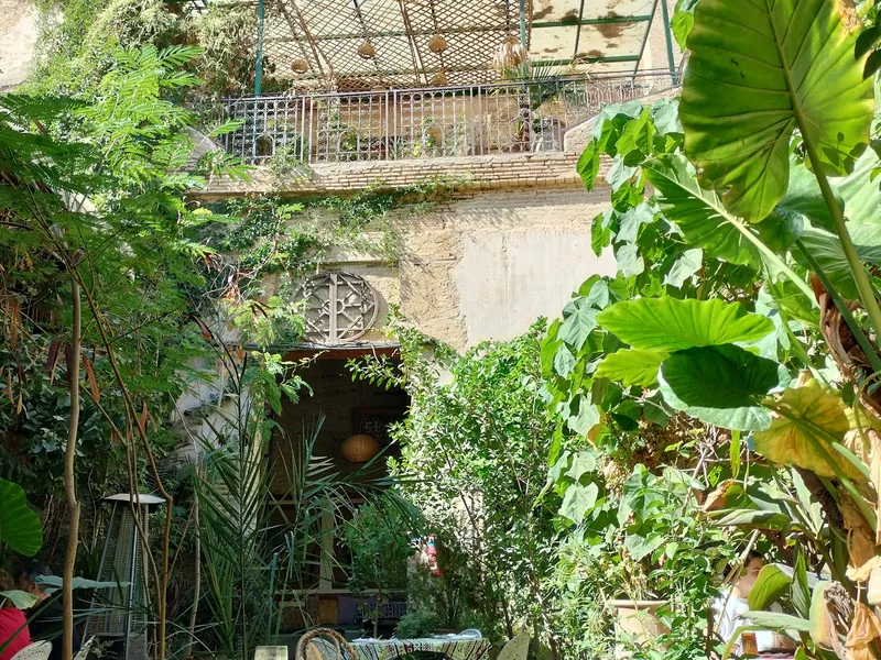 The Ruined Garden
