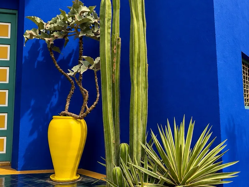 Jardin Majorelle — photo 1