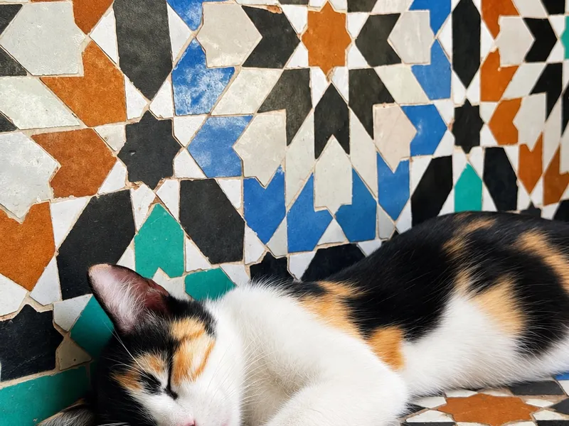 Medersa Ben Youssef — photo 2