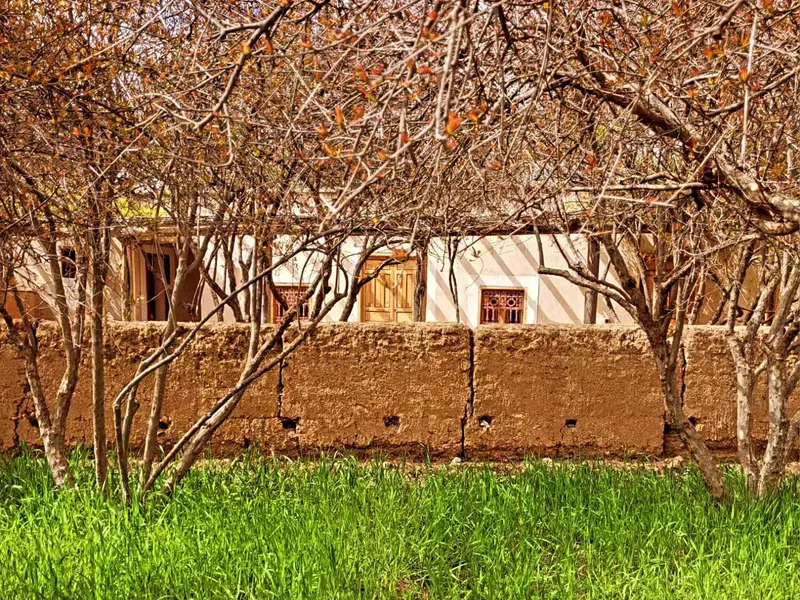 Jnane Tihihit — photo 6