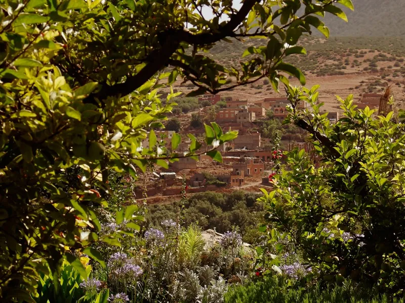 Kasbah Tamadot — photo 5