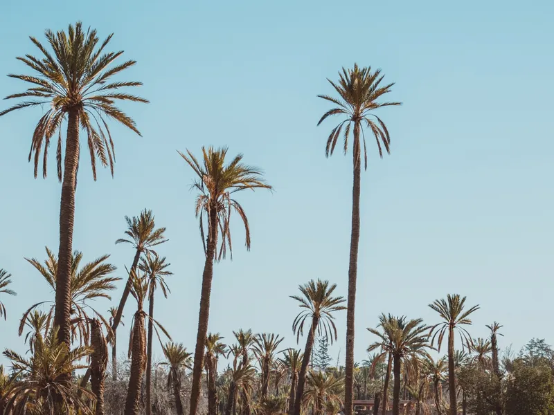 Marrakech Insiders — photo 5