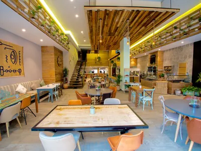 Organic Kitchen