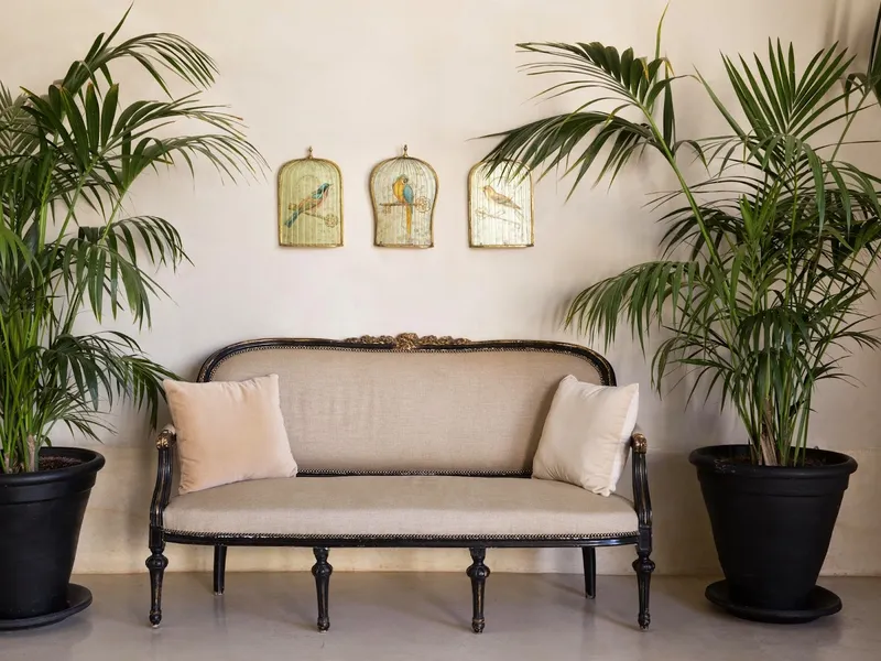 Riad Tarabel — photo 8