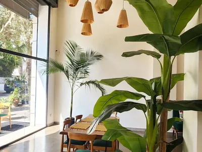 Guacaté