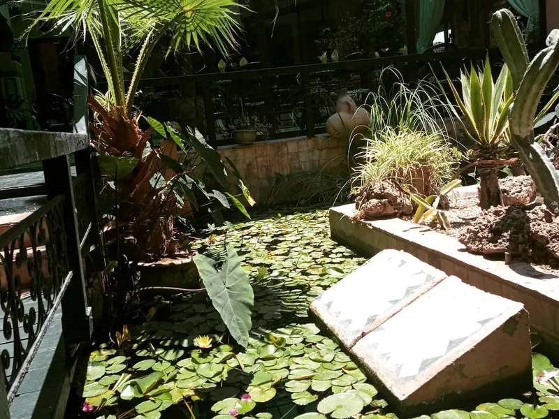 Le Jardin d'Eau, restaurant à Secteur Touristique, photo 1